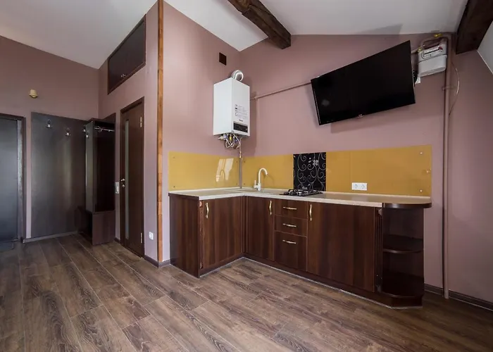 فندق Na Mytniy 3*